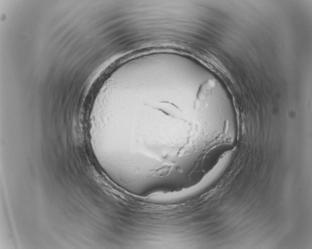 X0000058131068200510212040