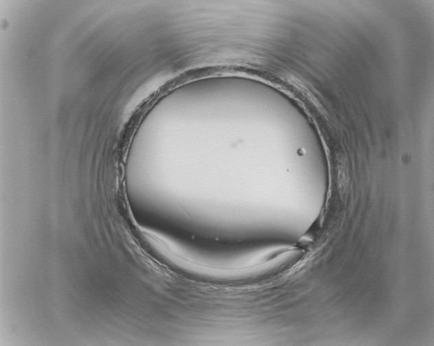 X0000058131069200510212040