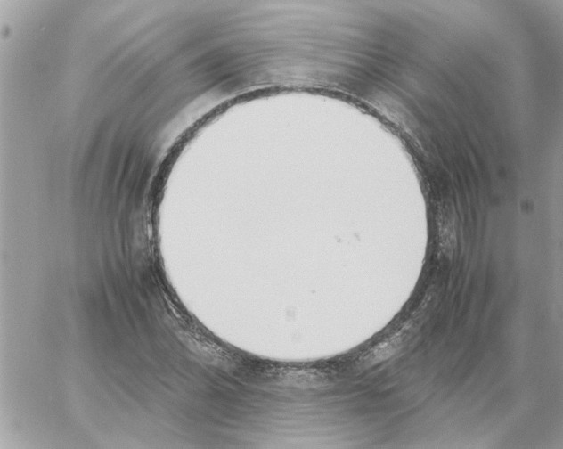 X0000058131070200510212040