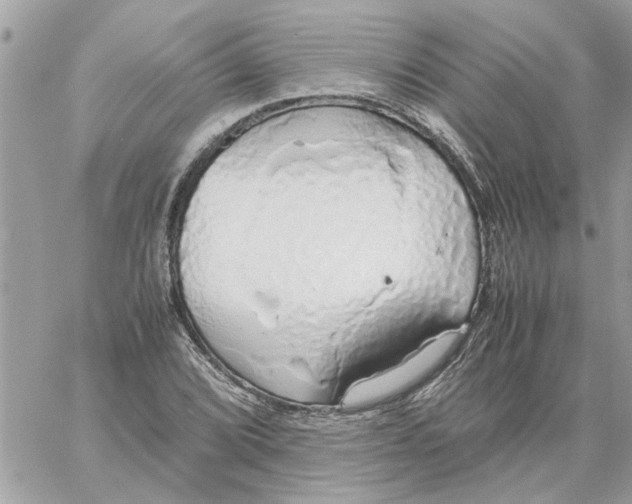 X0000058131072200510212040