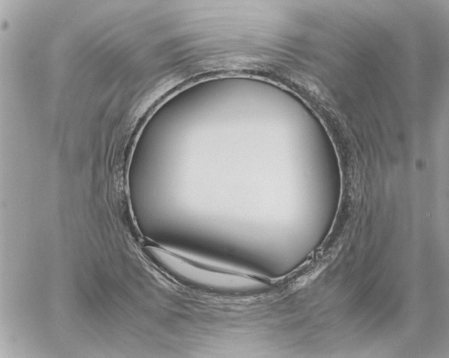 X0000058131073200510212040