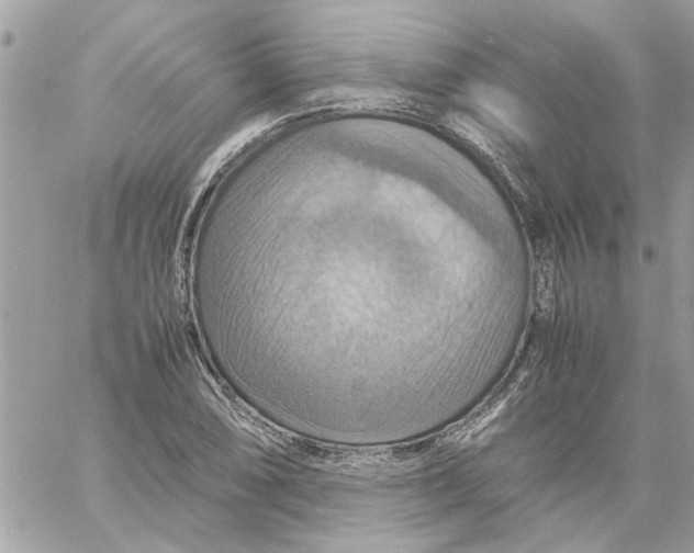 X0000058131074200510212040