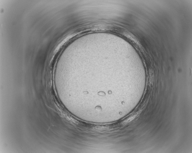 X0000058131075200510212040