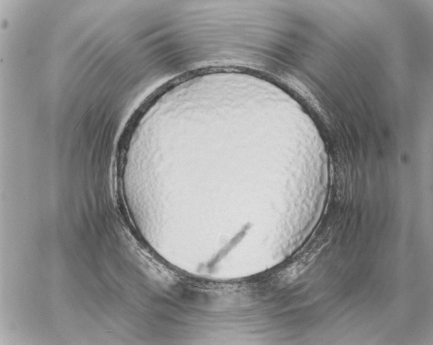 X0000058131076200510212040