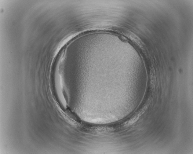 X0000058131077200510212040