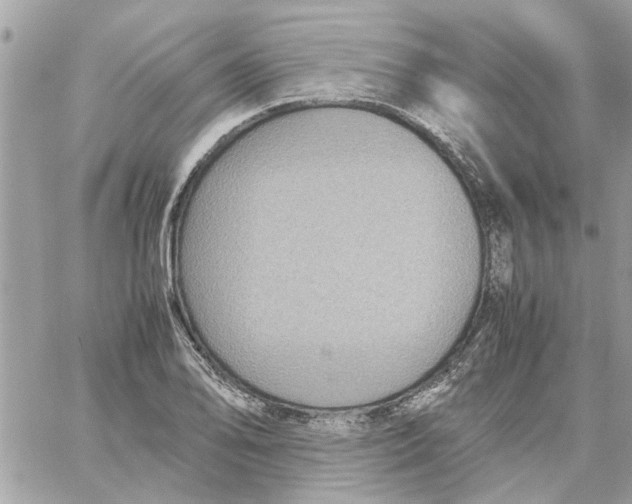 X0000058131078200510212040