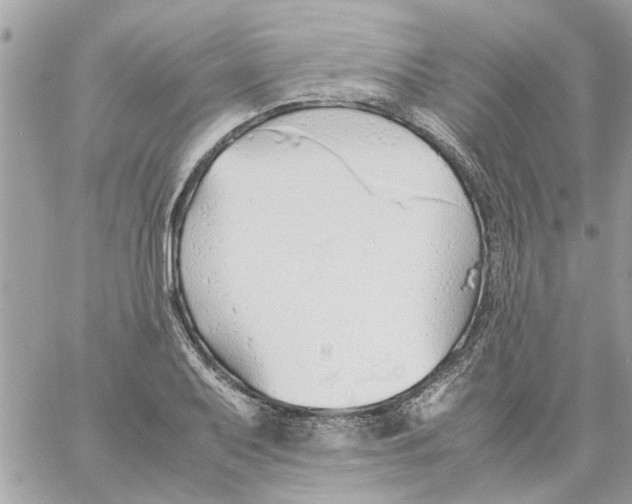 X0000058131079200510212040