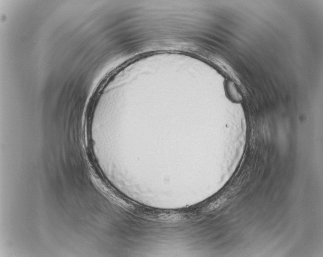 X0000058131080200510212040