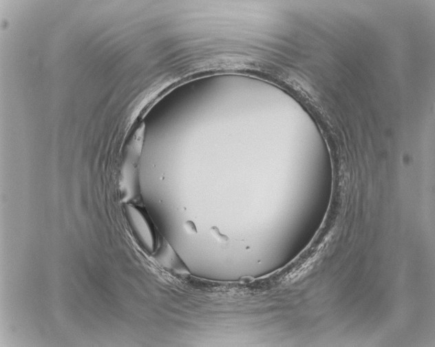 X0000058131081200510212040