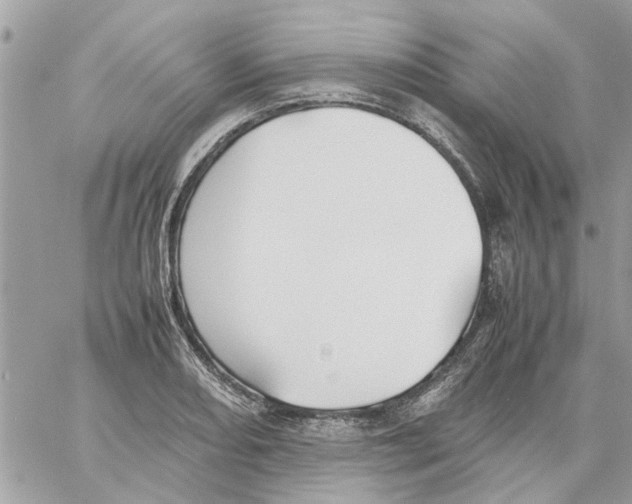 X0000058131082200510212040