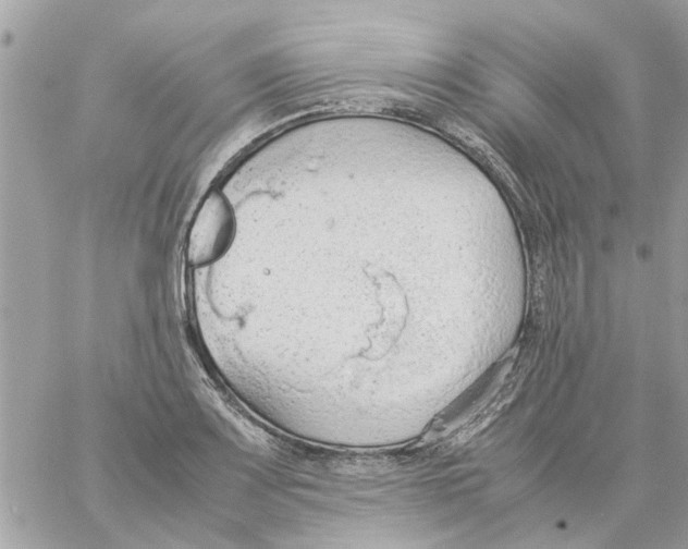 X0000058131083200510212040