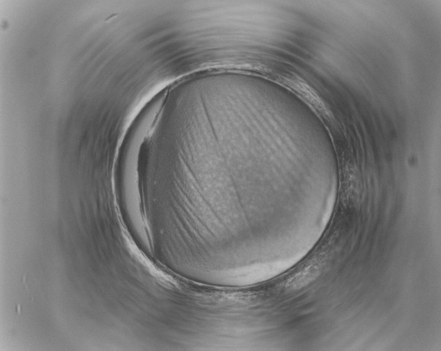 X0000058131084200510212040