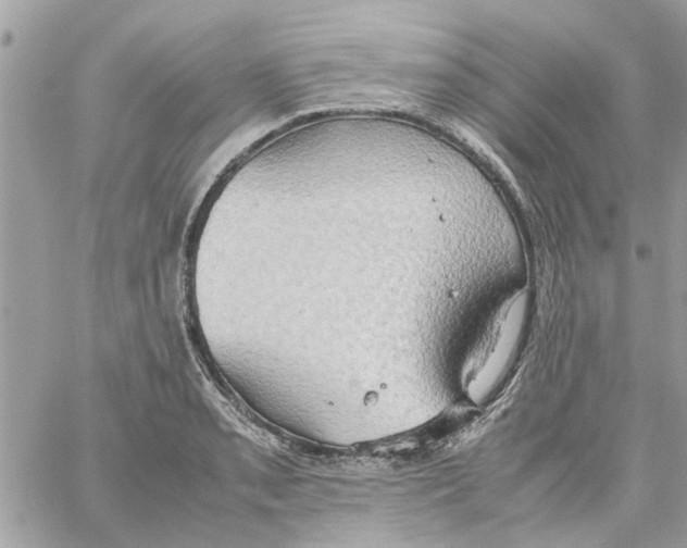 X0000058131085200510212040