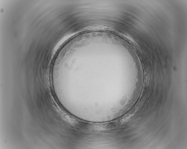 X0000058131086200510212039