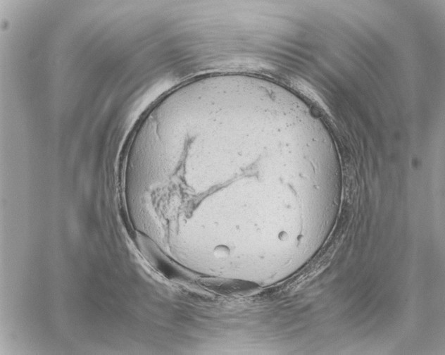 X0000058131087200510212039