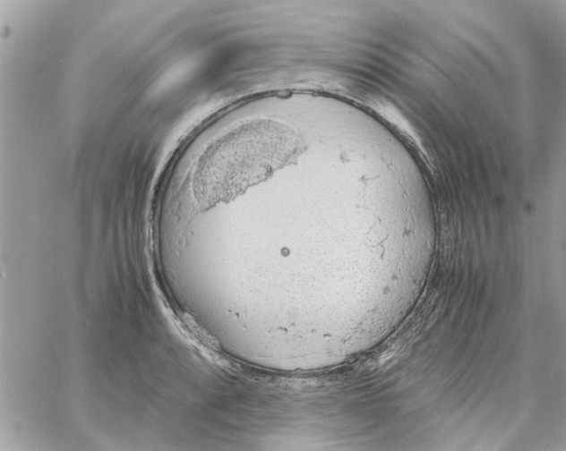 X0000058131088200510212039