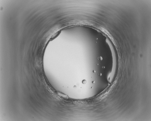 X0000058131089200510212039