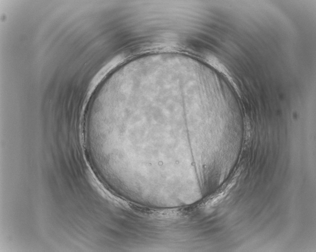 X0000058131090200510212039