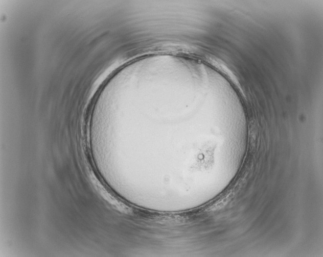 X0000058131091200510212039