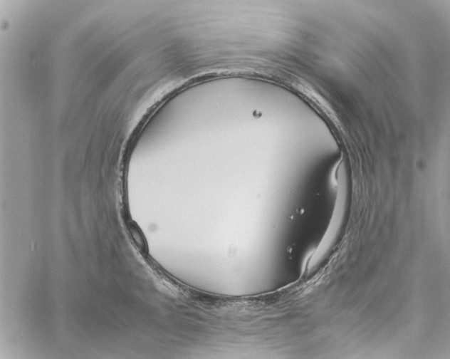 X0000058131093200510212039