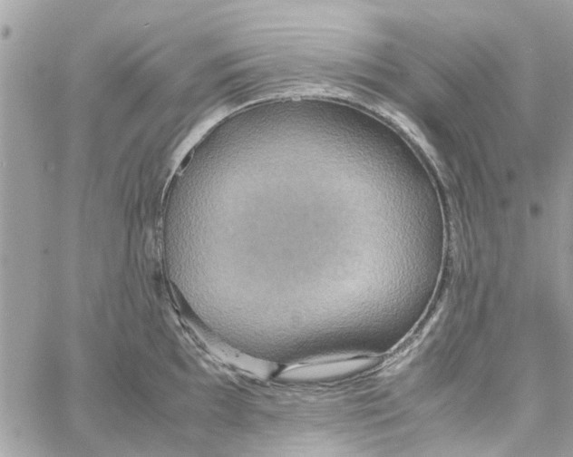 X0000058131097200510212039