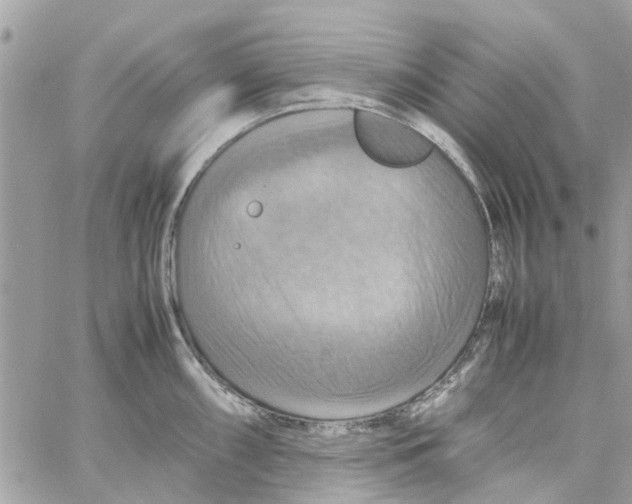 X0000058131098200510212039