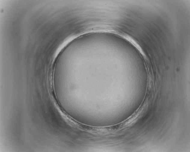 X0000058131101200510212039