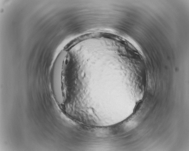 X0000058131102200510212039