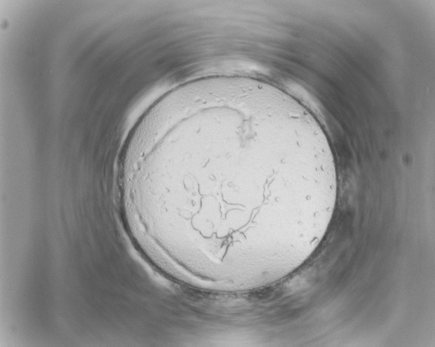 X0000058131103200510212039