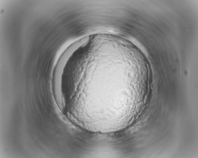 X0000058131104200510212039