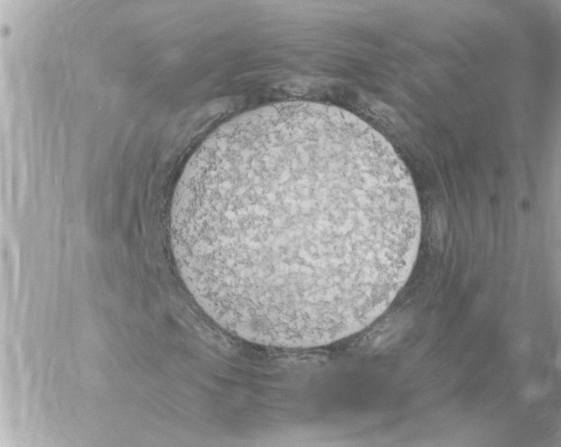 X0000058131105200510212038