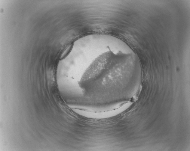 X0000058131106200510212038