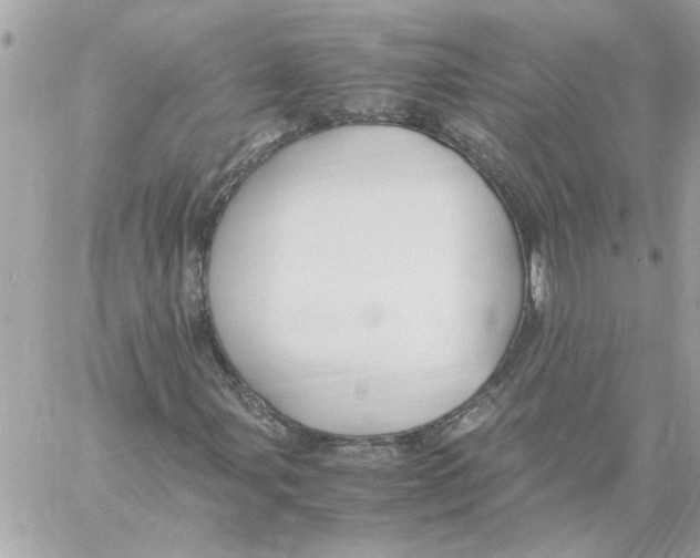 X0000058131107200510212038