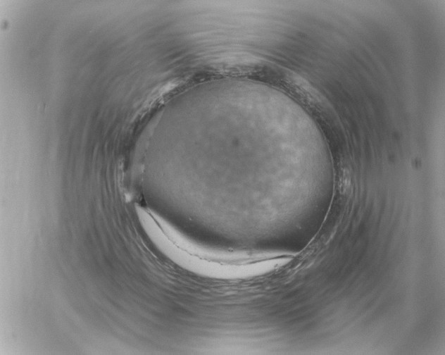 X0000058131108200510212038