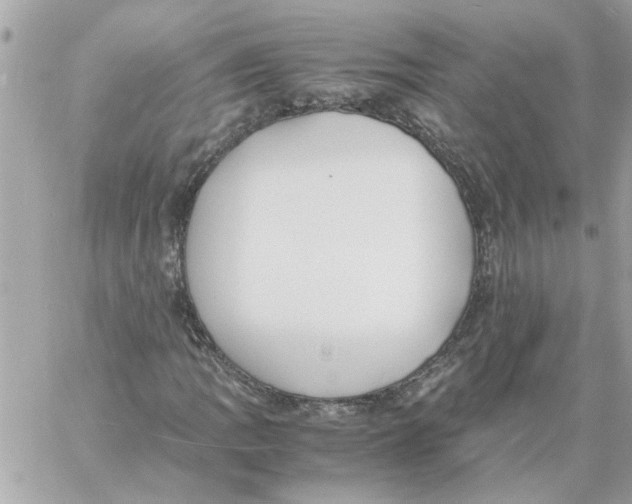 X0000058131109200510212038