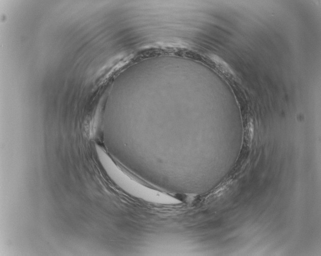 X0000058131110200510212038