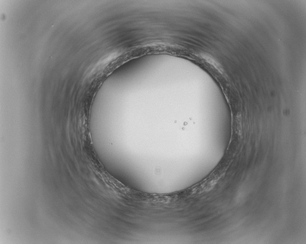 X0000058131111200510212039