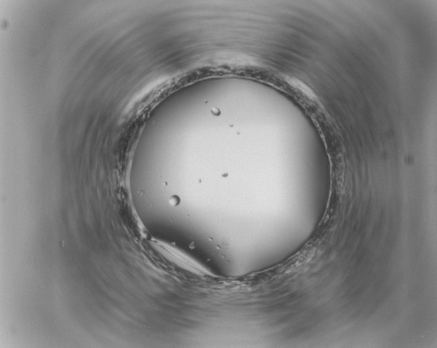 X0000058131112200510212039