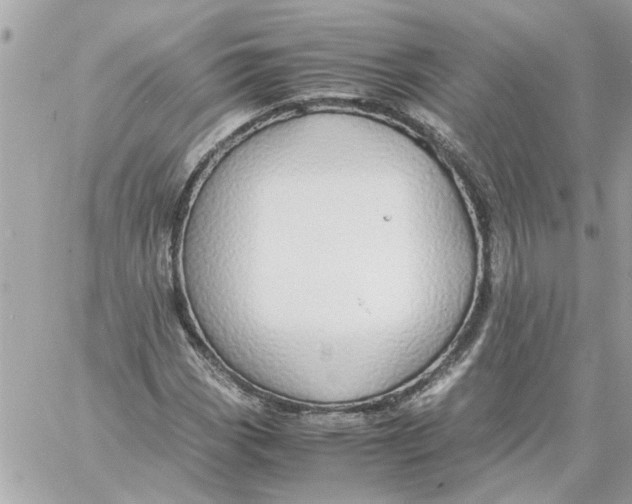 X0000058131113200510212039