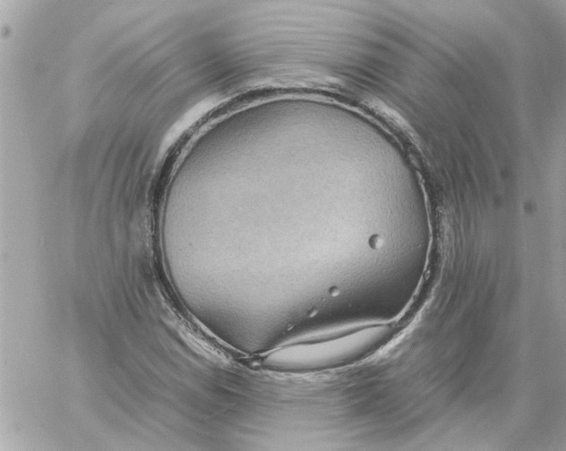 X0000058131114200510212039