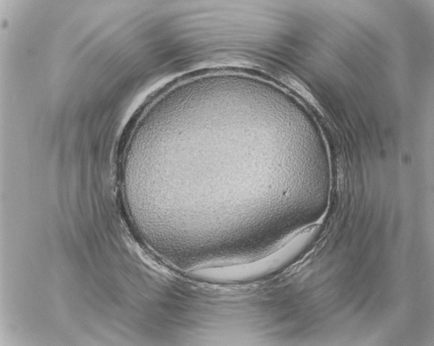 X0000058131116200510212039