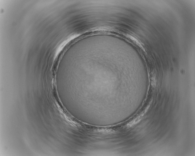 X0000058131117200510212039