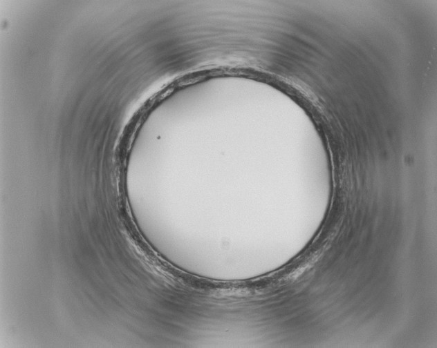 X0000058131118200510212039