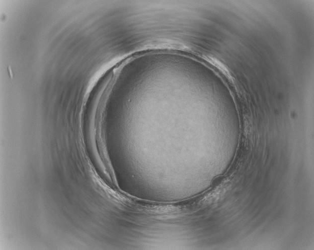 X0000058131120200510212039