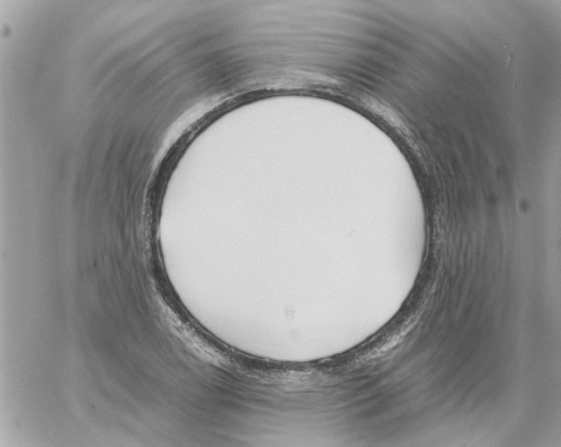 X0000058131122200510212039