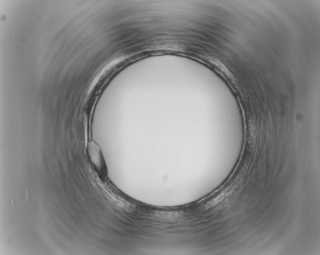 X0000058131123200510212039