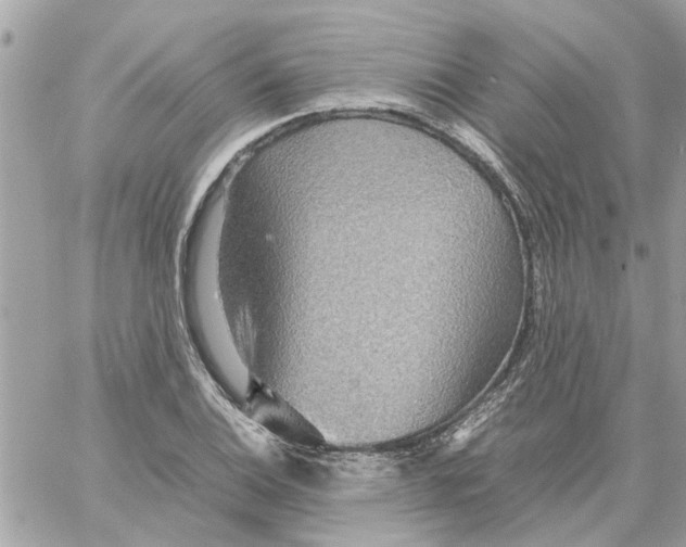 X0000058131124200510212039