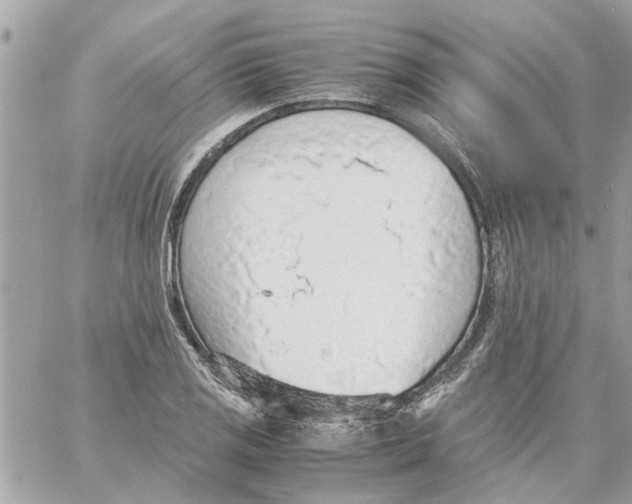 X0000058131125200510212039