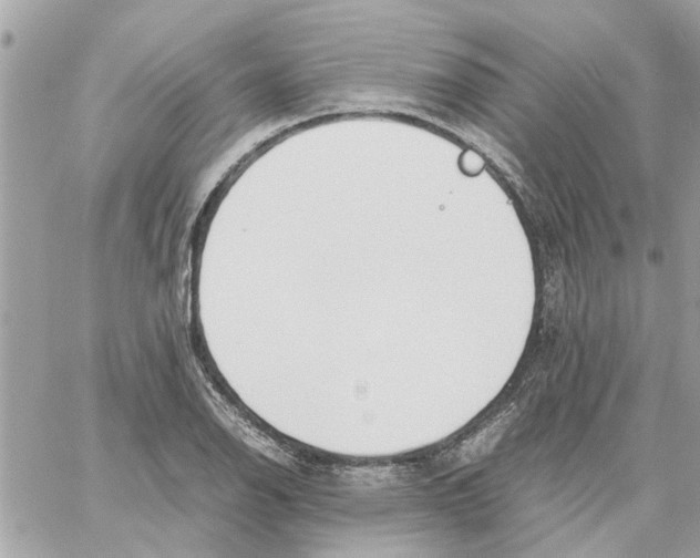 X0000058131126200510212039