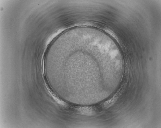 X0000058131127200510212039